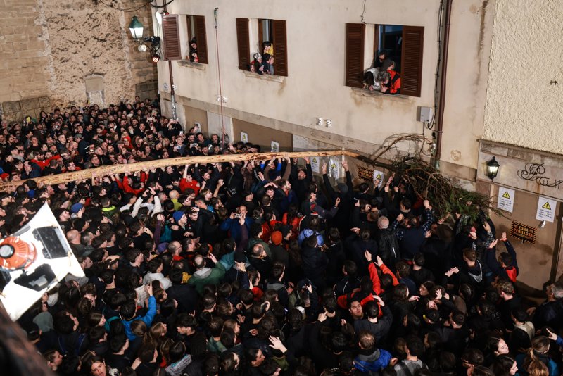 Momento en que se parte parcialmente la copa del  'Pi de Sant Antoni'