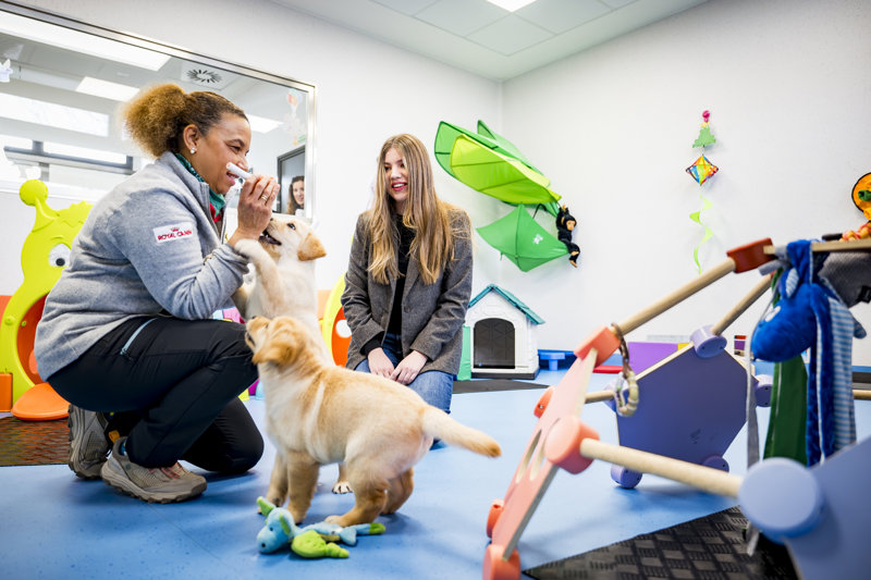 La Infanta Sofia acompaña a cachorros de apenas dos meses en la recién estrenada Aula de Estimulación Sensorial. 